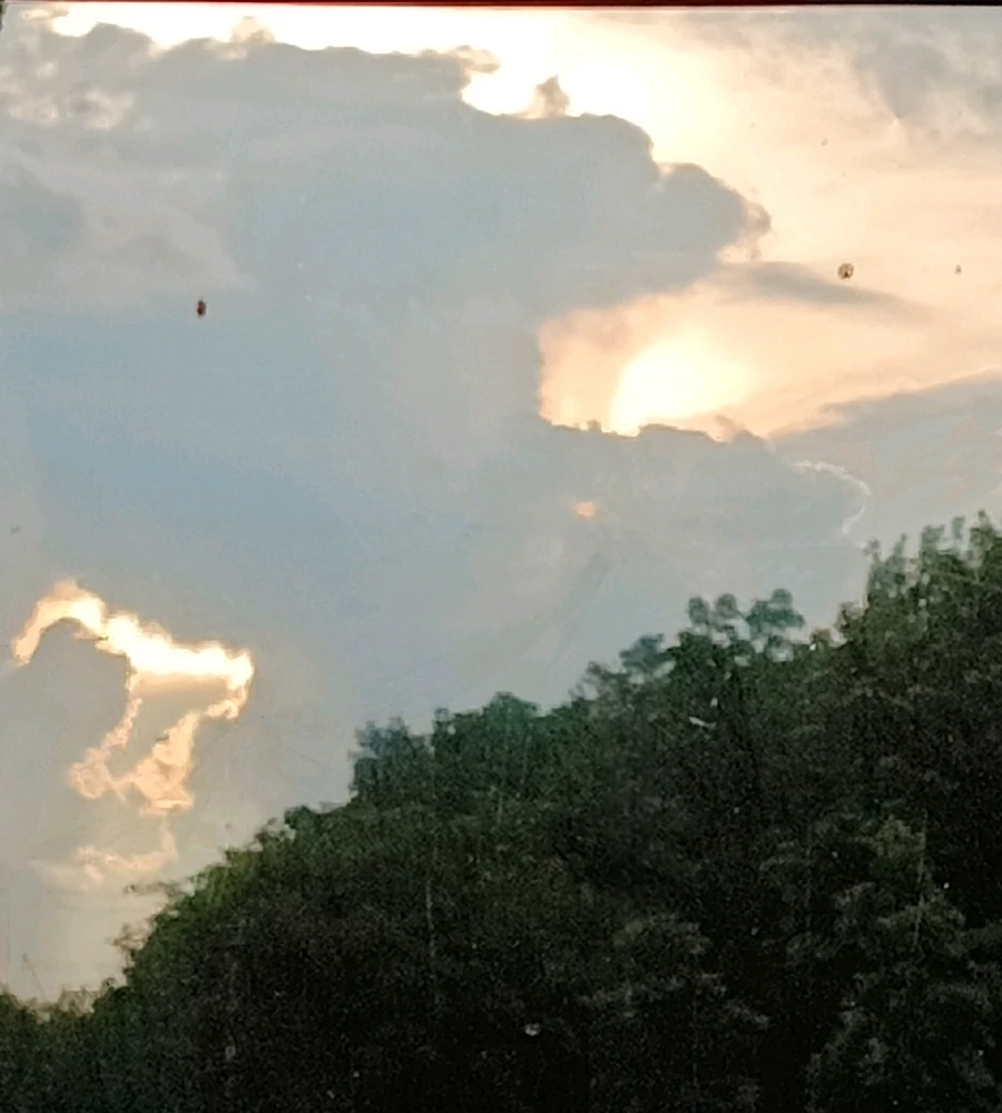 Image uploaded by Dee