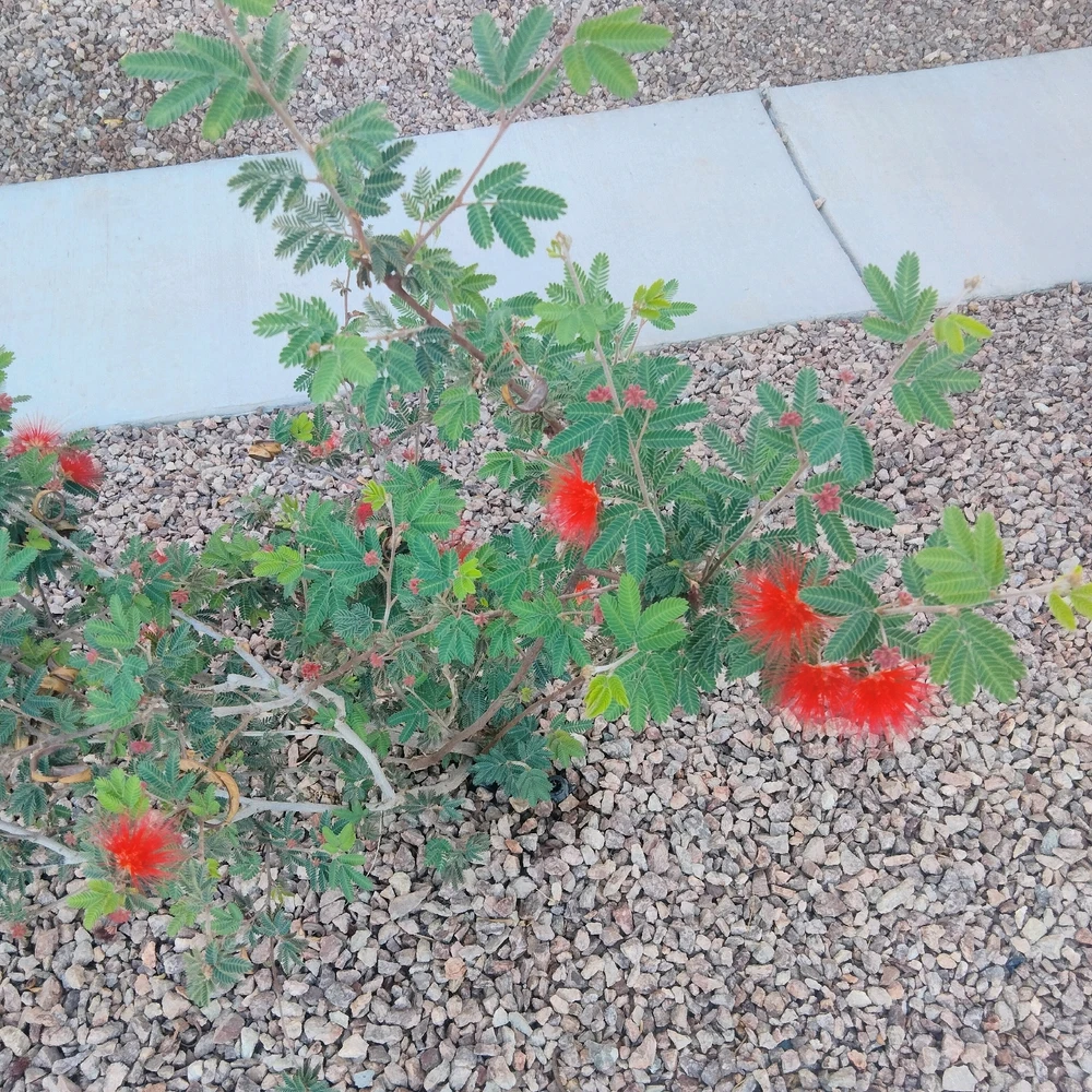 Image uploaded by Juana