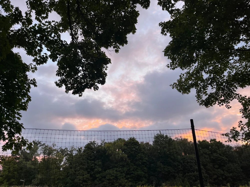 Somebody penned the sunrise
