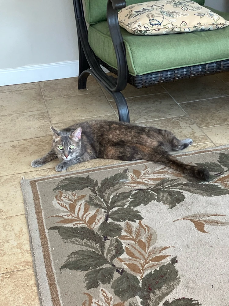 Image uploaded by Luke