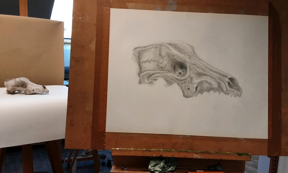 Obrázek nahrál Já