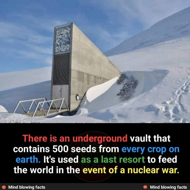 Image uploaded by 𝒜𝓁𝒾