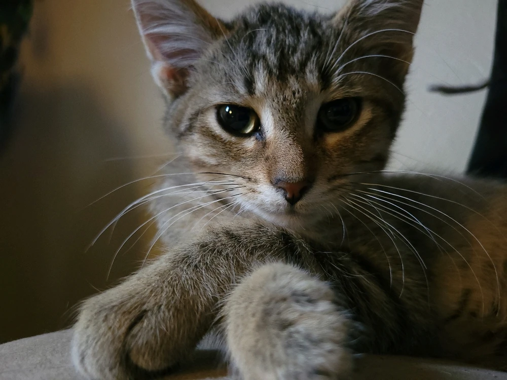 Image uploaded by Brandon