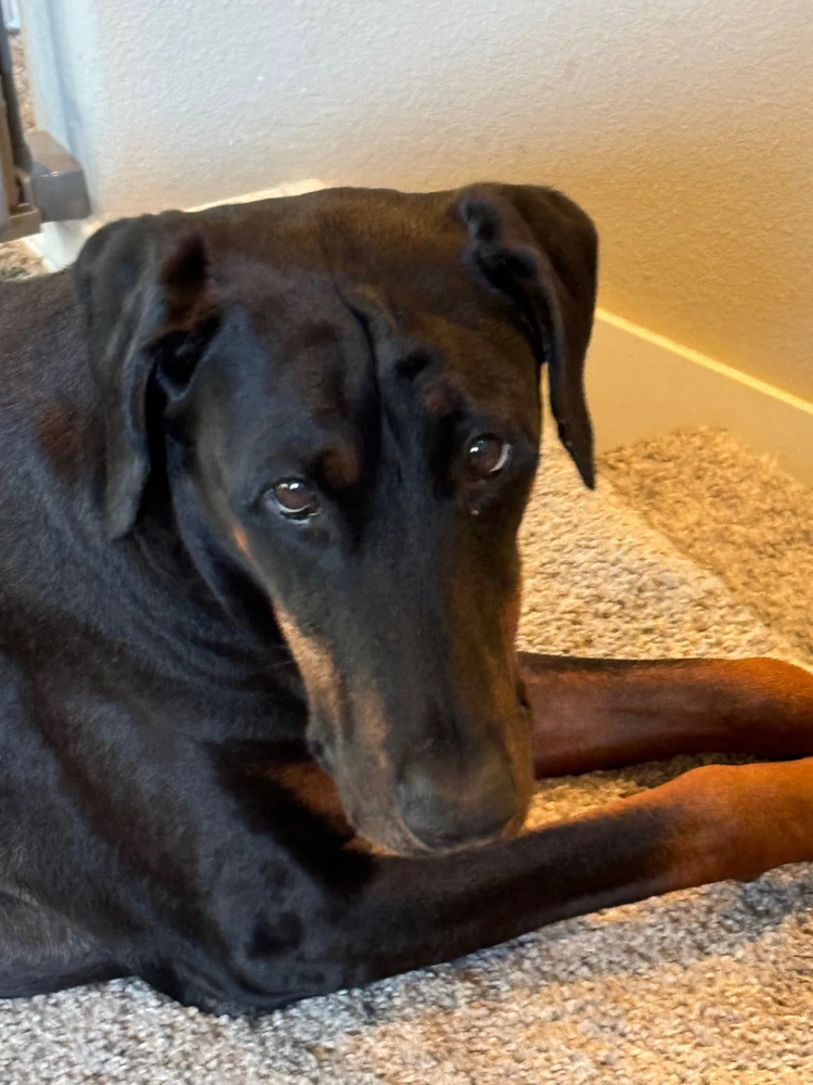 Image uploaded by Logan