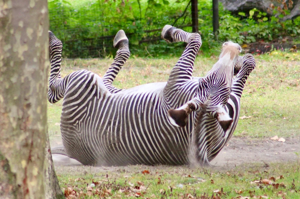 Image uploaded by Nick