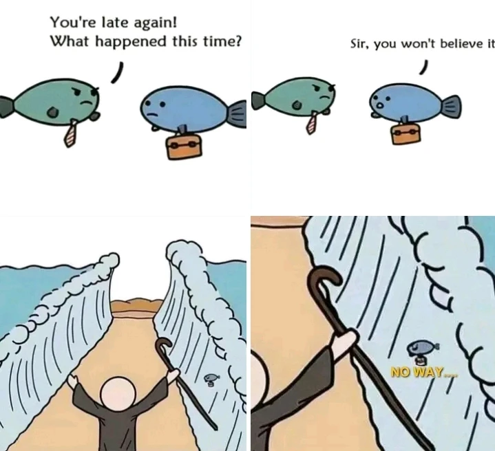 Image uploaded by Davor