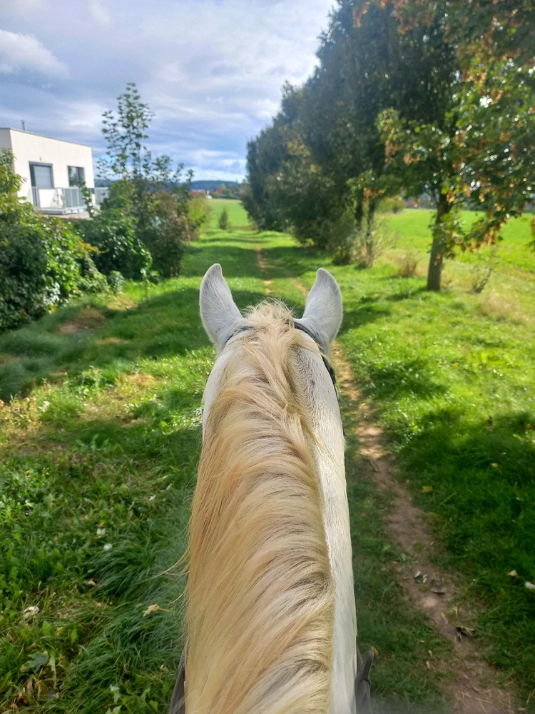 Obrázek nahrál Kačí