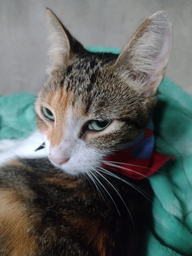 I told you not to take photos of me 😳😳😵😵😂