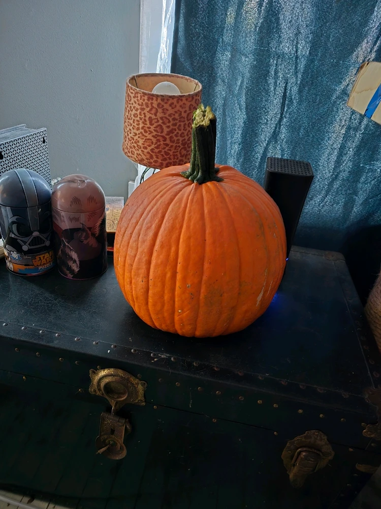 Image uploaded by Martha