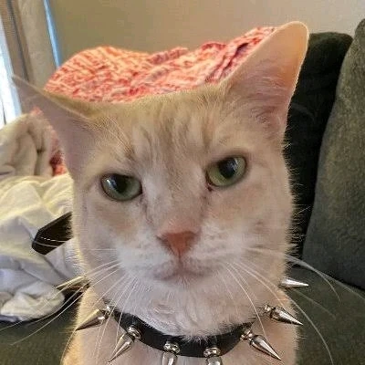 Jesus XDがアップロードした画像