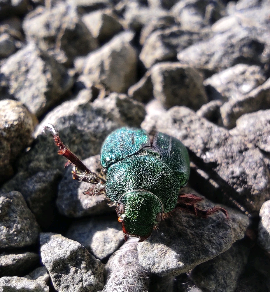Фото загрузил Елизавета