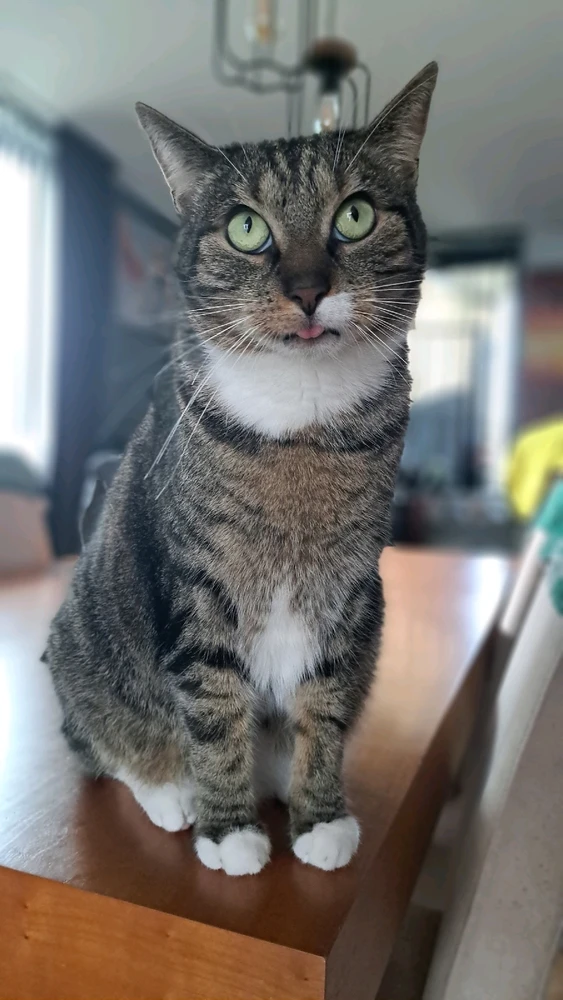 Afbeelding geüpload door Lisa