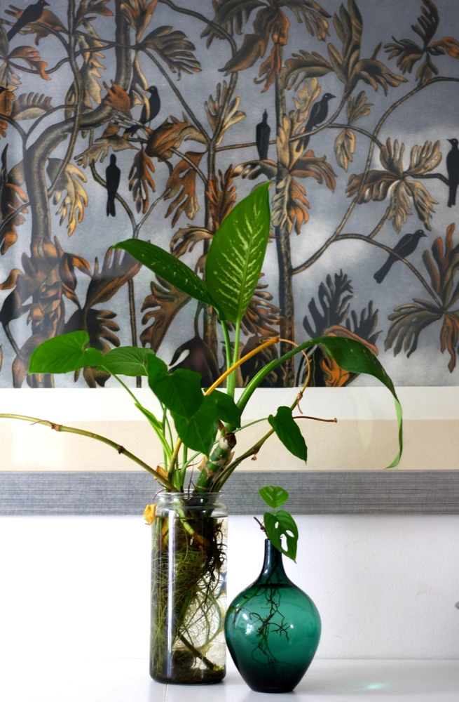 Image uploaded by Fernando