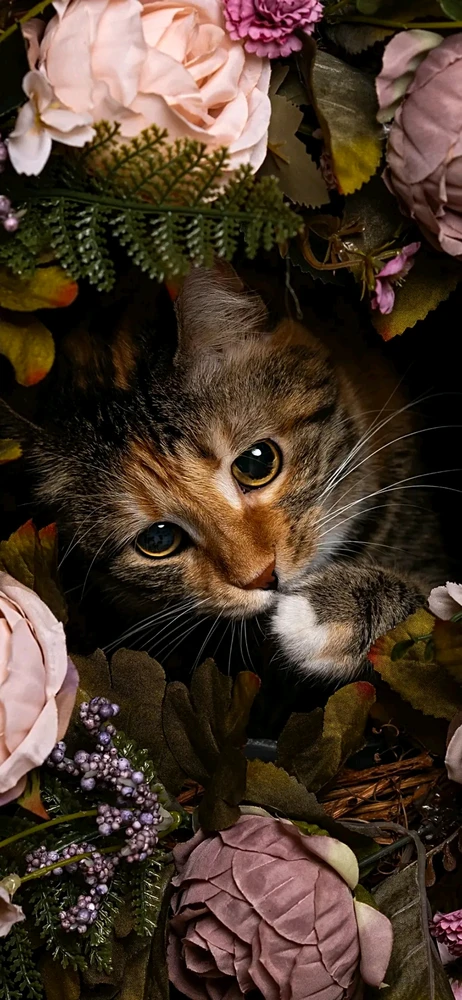 Meriç tarafından yüklenen görsel