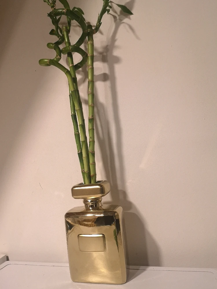 Image ajoutée par Passion