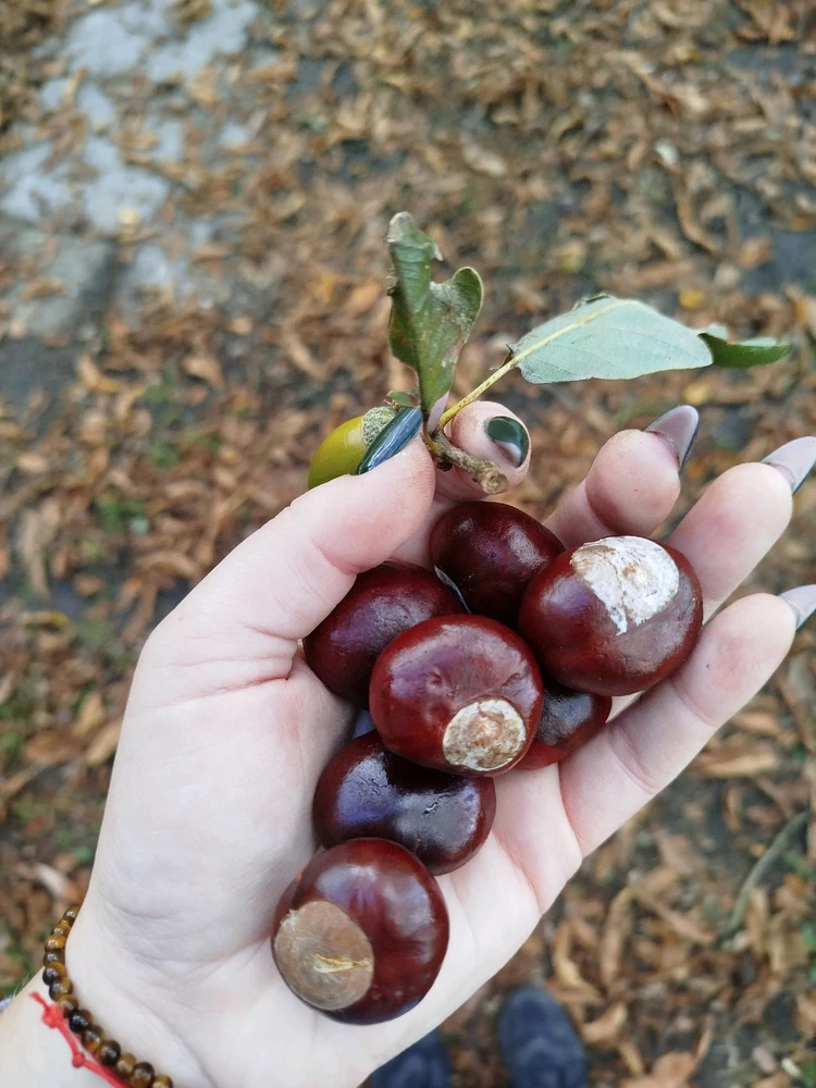 Obrázek nahrál Švadlena kytaristka