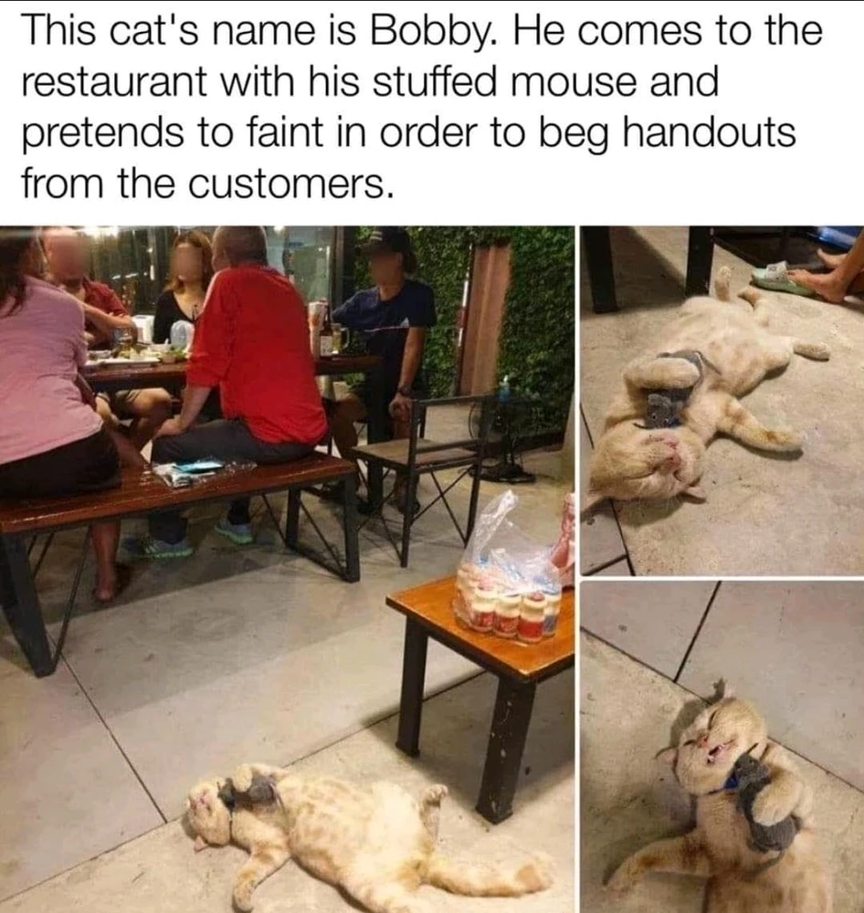 Bild hochgeladen von Kev