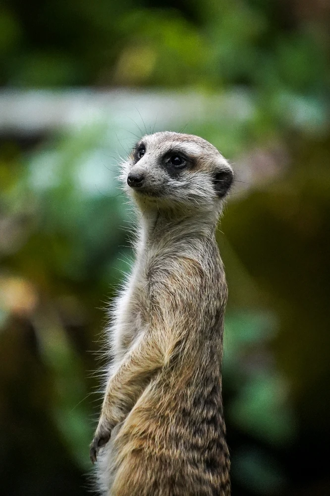 Image uploaded by Hao Wen