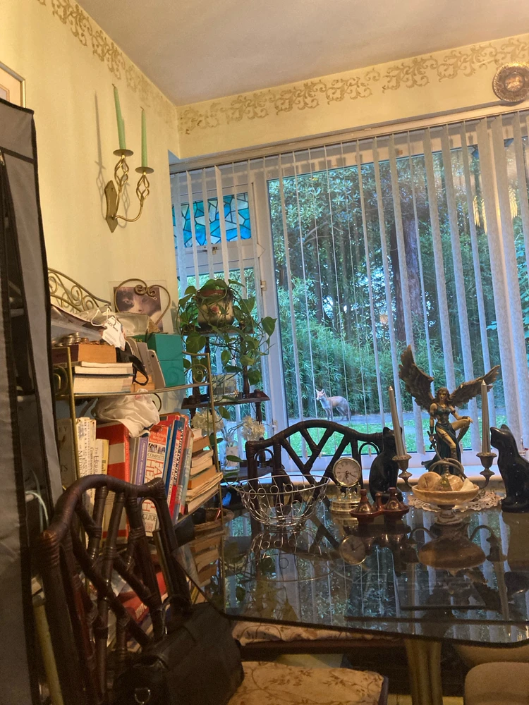 Image uploaded by Julia