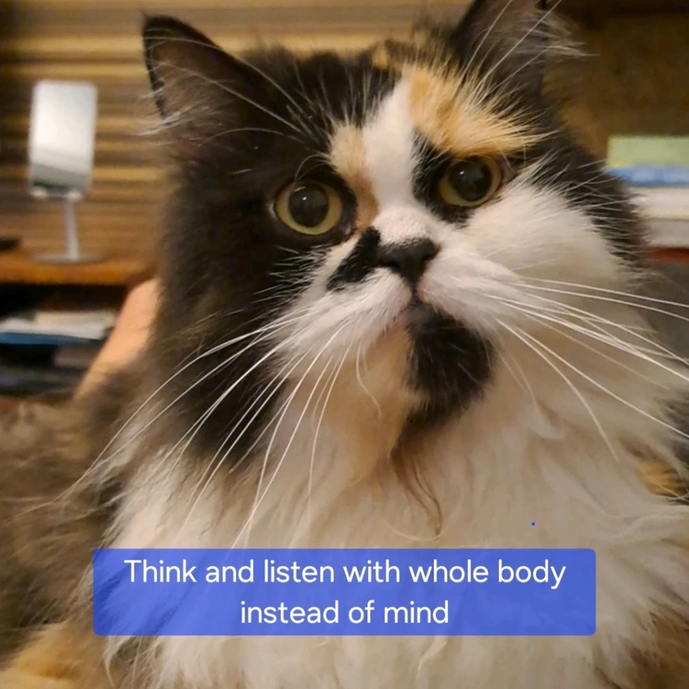 Image uploaded by Lululili