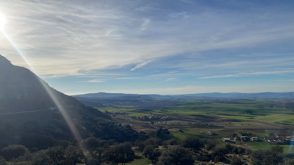 Image uploaded by Sofiane
