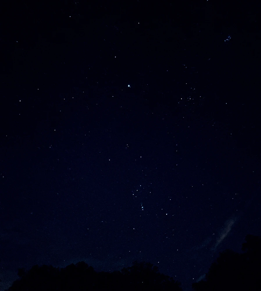 Obrázek nahrál 🌹Thomas🌹