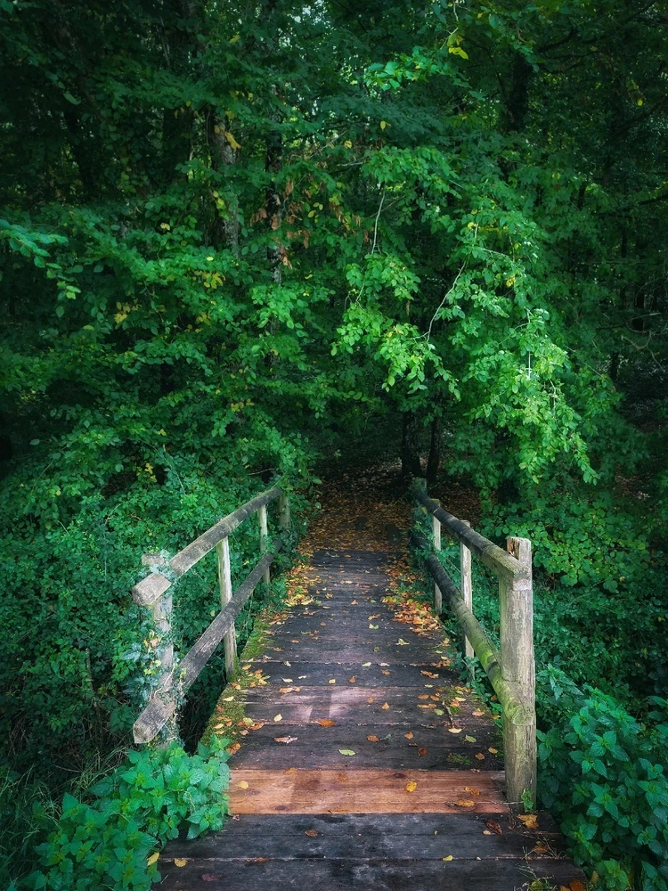 Image ajoutée par Caroline