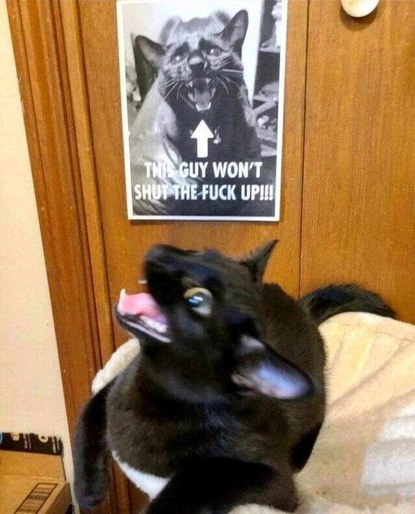 Image uploaded by Keenan