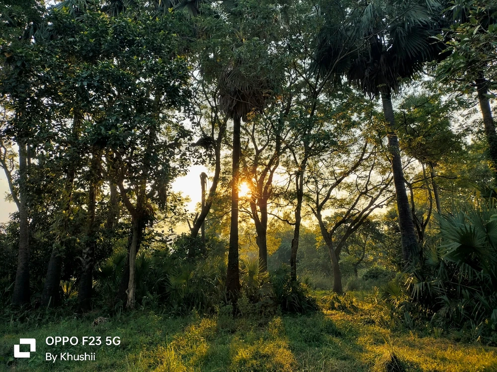Image uploaded by Khushii