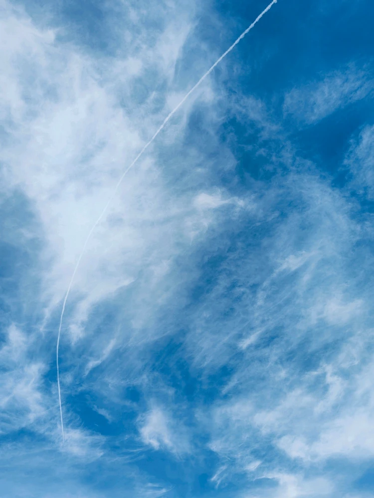 รูปที่อัพโหลดโดย Tutha