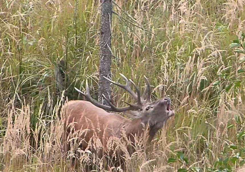 Fotku nahral/-a Marek