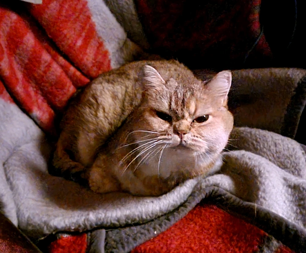 Bild hochgeladen von Daniel