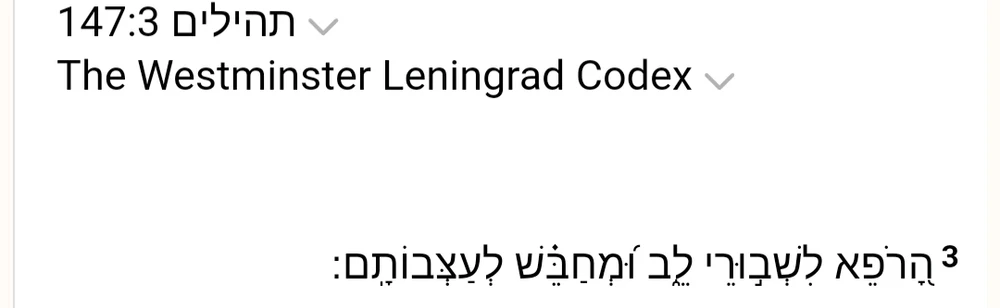 ืชืืื ื ืฉืืืขืืชื ืขื ืืื โจ๏ธ๐โโ๏ธ๐ญ๐ธEster๐ธ๐ฉ๐ผโ๐ฌโ๏ธ๐