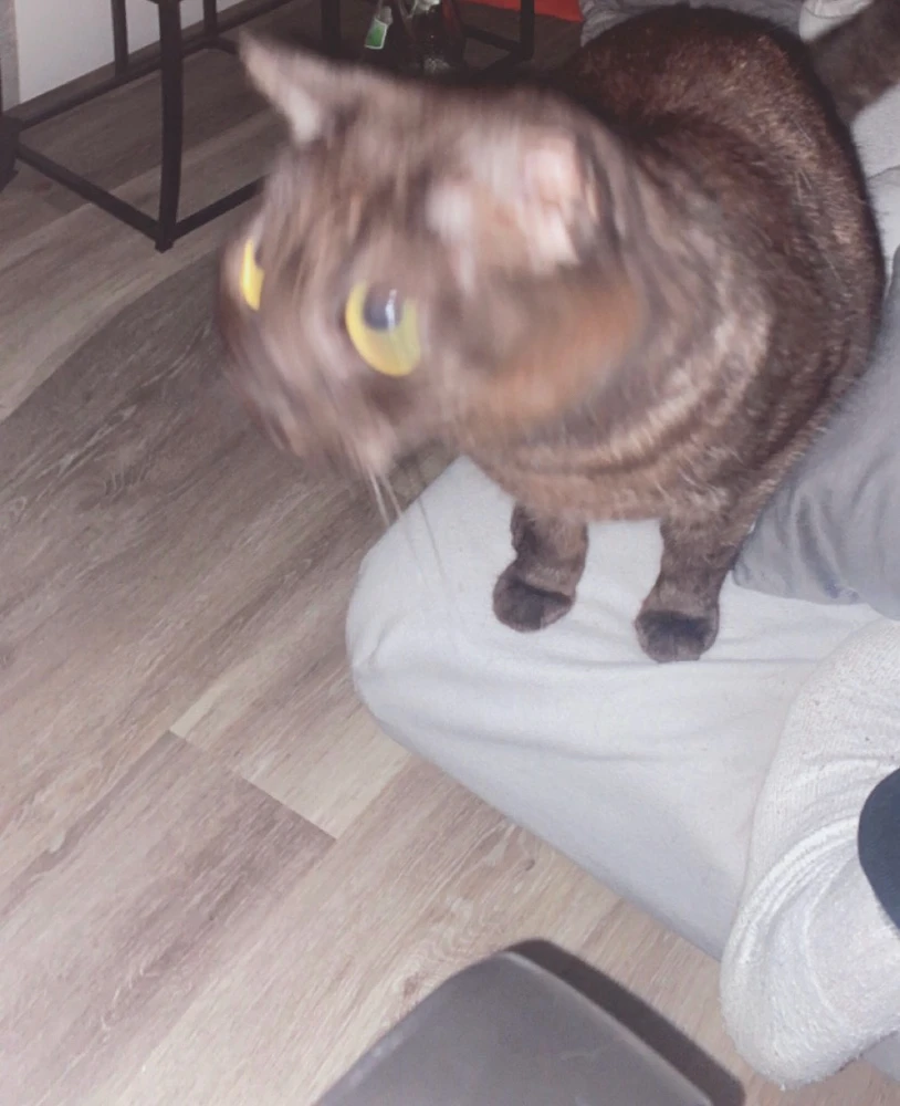 Bild hochgeladen von Luca