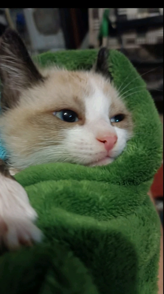 Image uploaded by Nirene