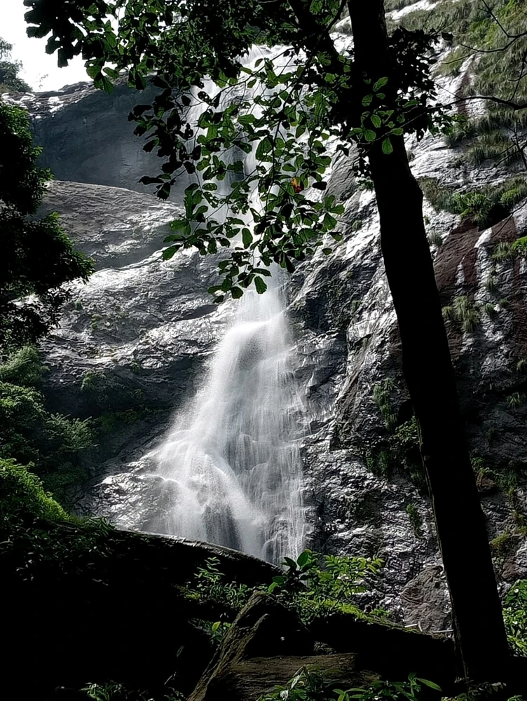 Standing by the falls, feeling the gentle mist on my face, I realized how peaceful life can be when you let nature guide you🍃