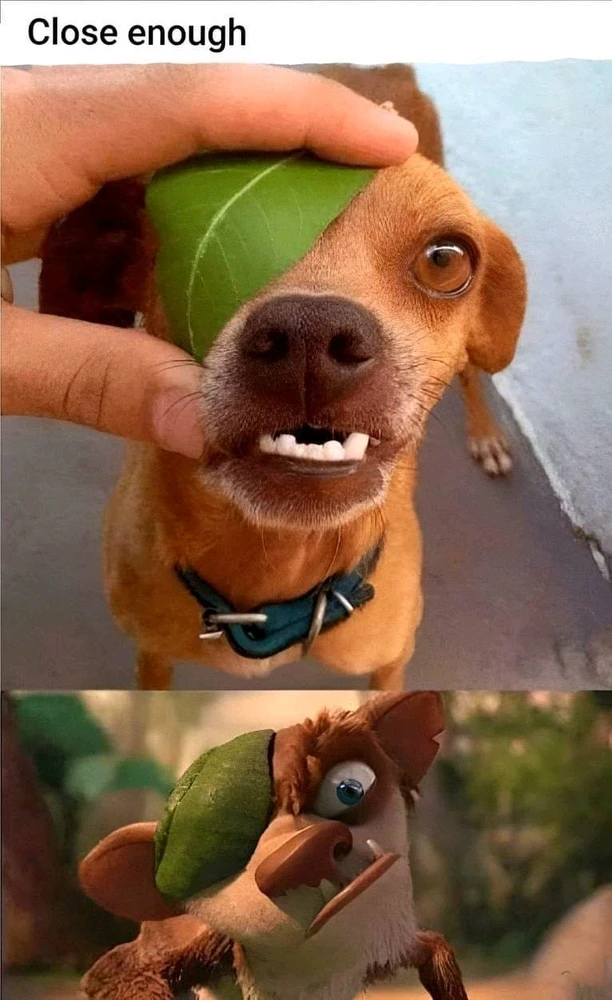 Afbeelding geüpload door Phad