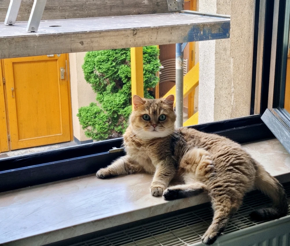 Bild hochgeladen von Daniel