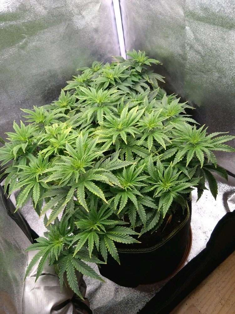 Bild hochgeladen von Find's doch raus