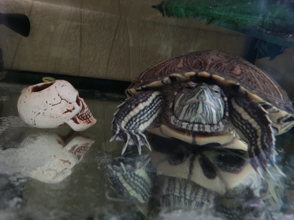 Фото загрузил Leva