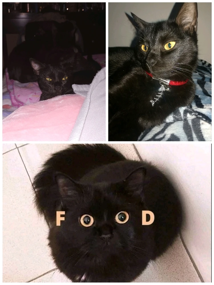 Image uploaded by ❤ Sophia aka Mango Mami ❤️