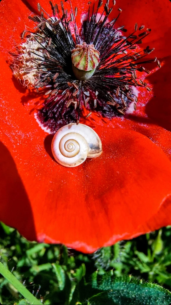 Image uploaded by Ekrem