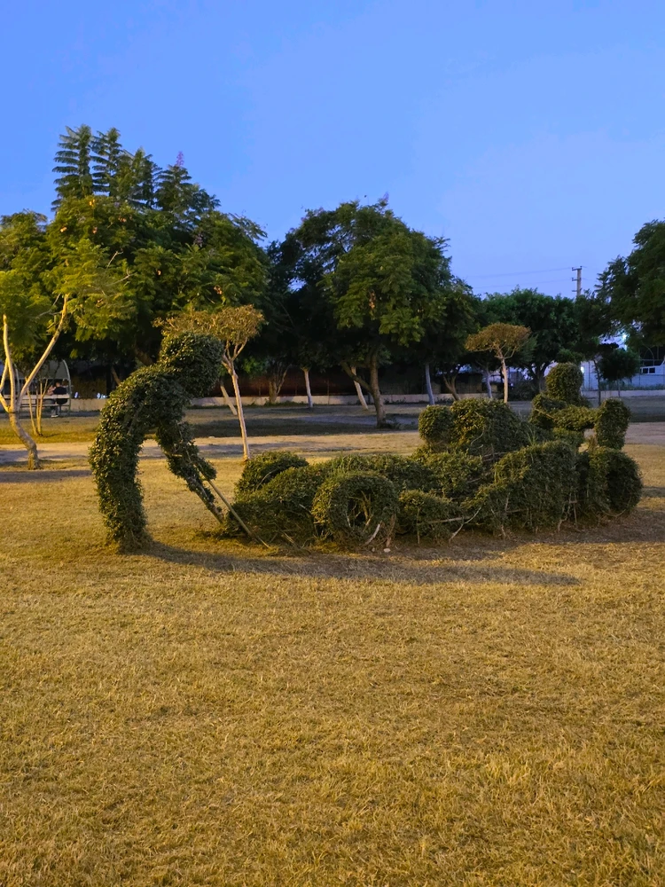 Nuri tarafından yüklenen görsel