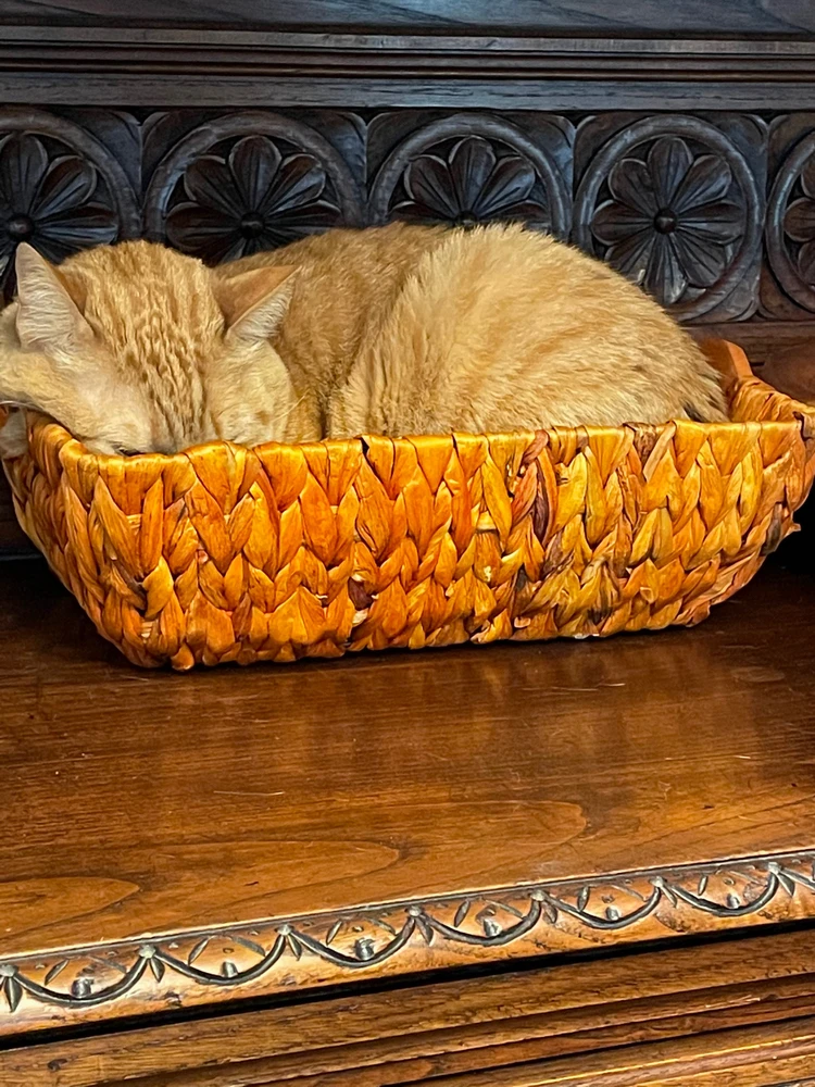 Image uploaded by Hunter