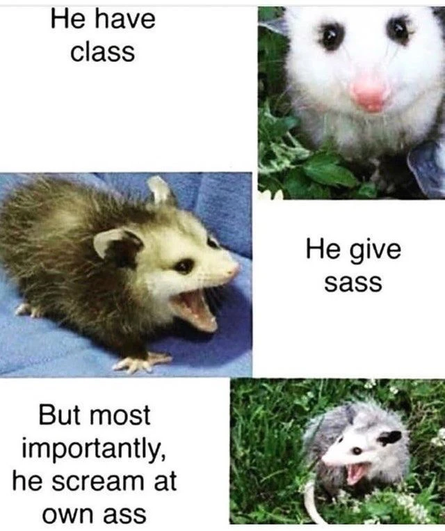 Image uploaded by Mattias