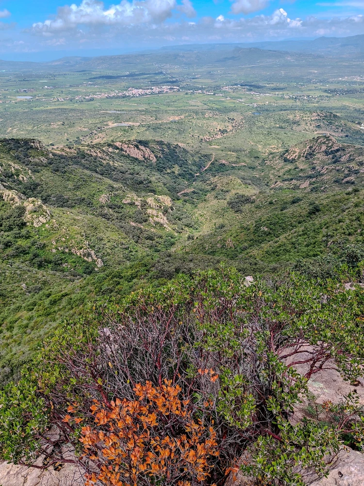 Cerro del Muerto (La nariz)