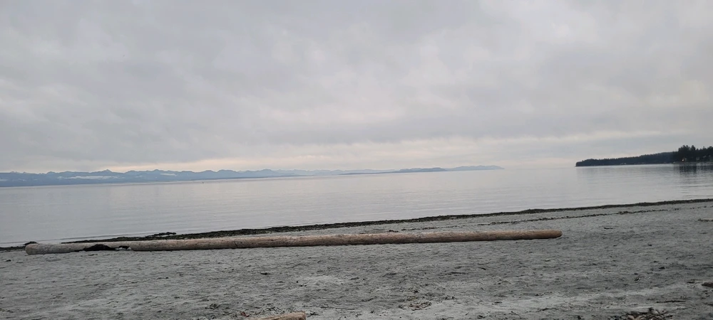 Image uploaded by Mason