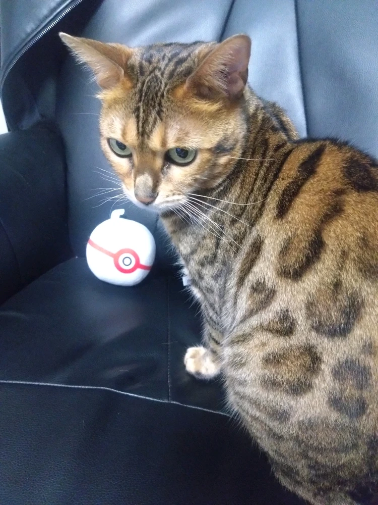 Tomoyaがアップロードした画像