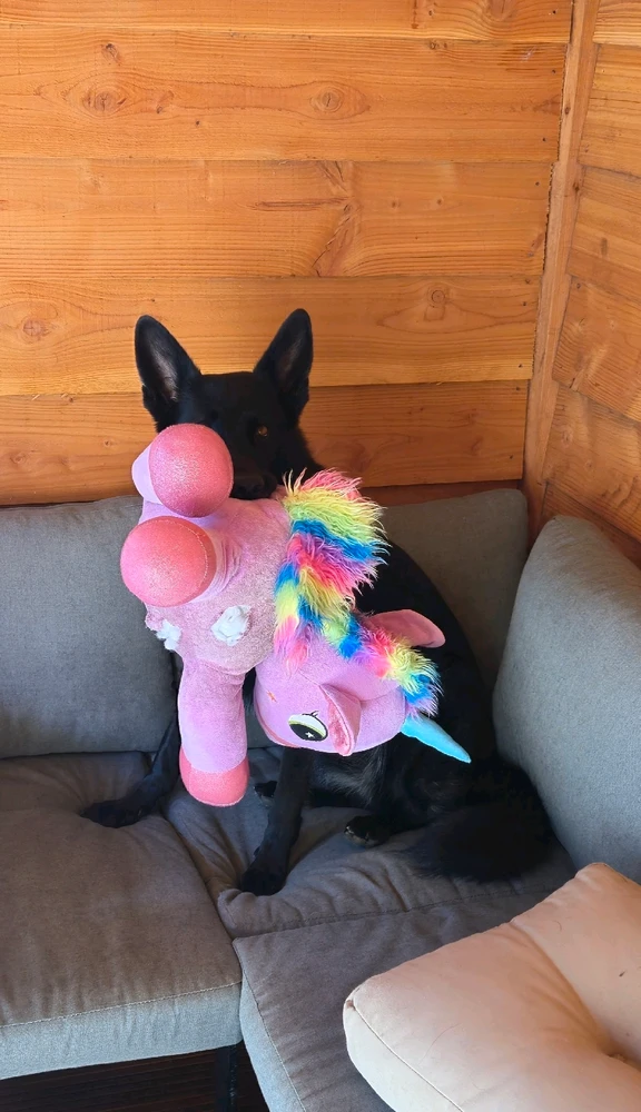 Afbeelding geüpload door Mike