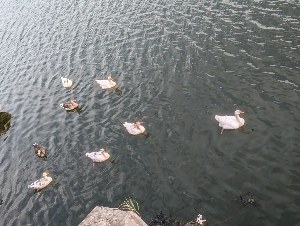 Image uploaded by Stacey